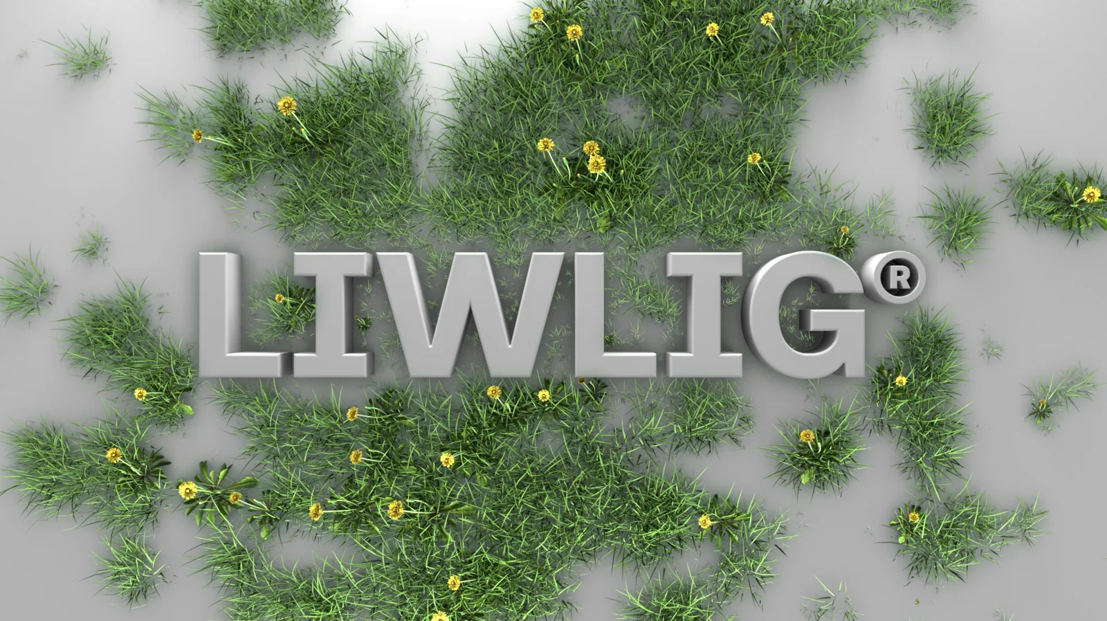 LIWLIG Slutplatta_1.mp4
