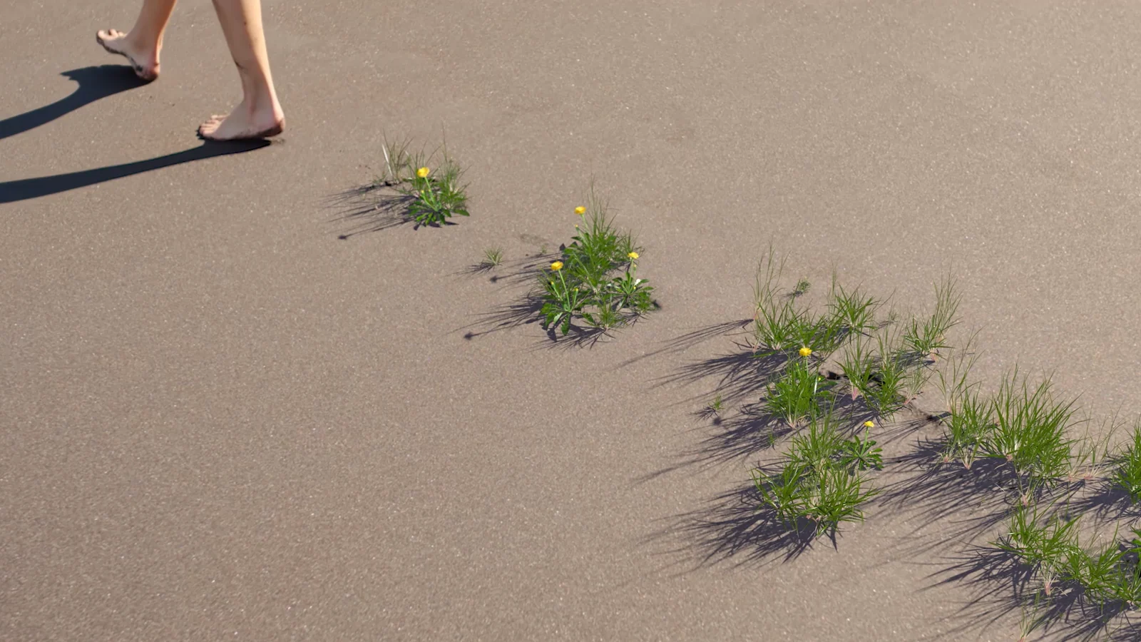 Inledning_What_if_we could_leave better footprints.mp4